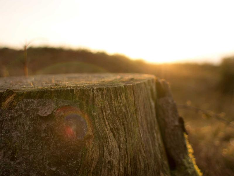 sudoku relaxation mode